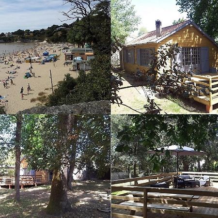Villa La Palombière à Meschers-sur-Gironde Extérieur photo