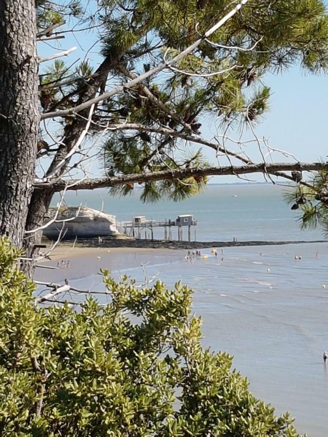 Villa La Palombière à Meschers-sur-Gironde Extérieur photo