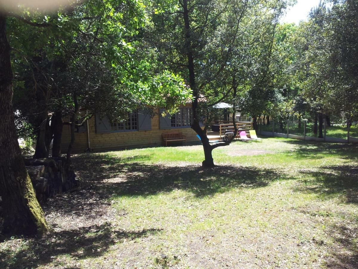 Villa La Palombière à Meschers-sur-Gironde Extérieur photo